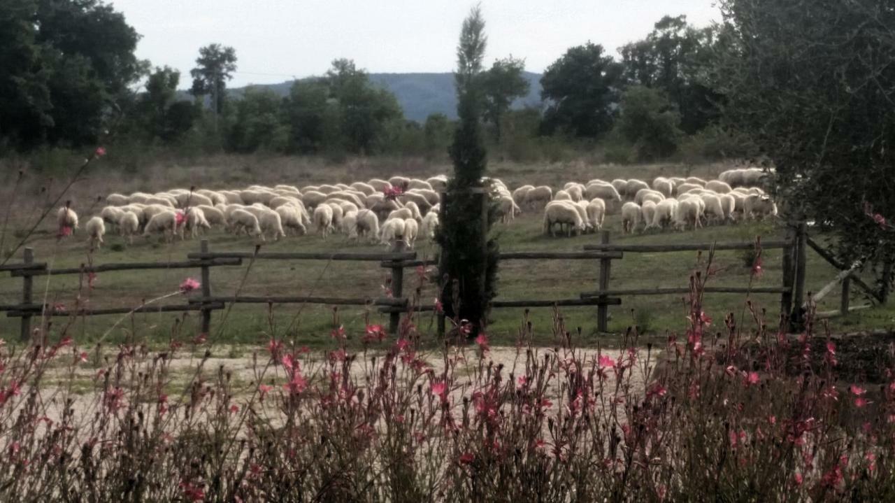 Maremma Country Chic Le Ginestre Villa Sovana Exterior photo