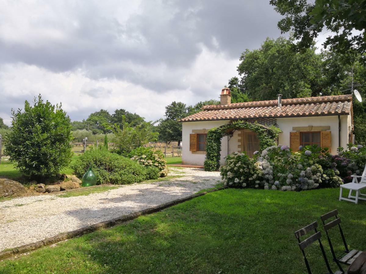 Maremma Country Chic Le Ginestre Villa Sovana Exterior photo